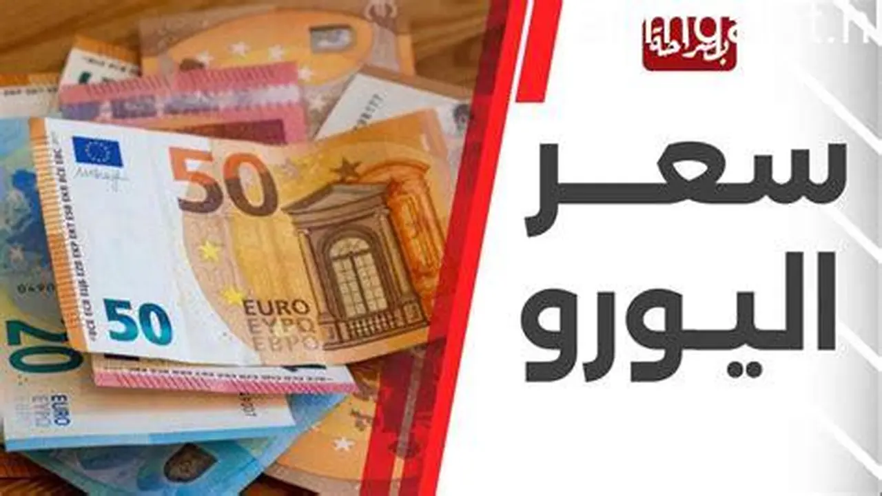 تغيرات سعر اليورو مقابل الجنيه في البنوك المصرية بمنتصف تعاملات الثلاثاء 12 مايو